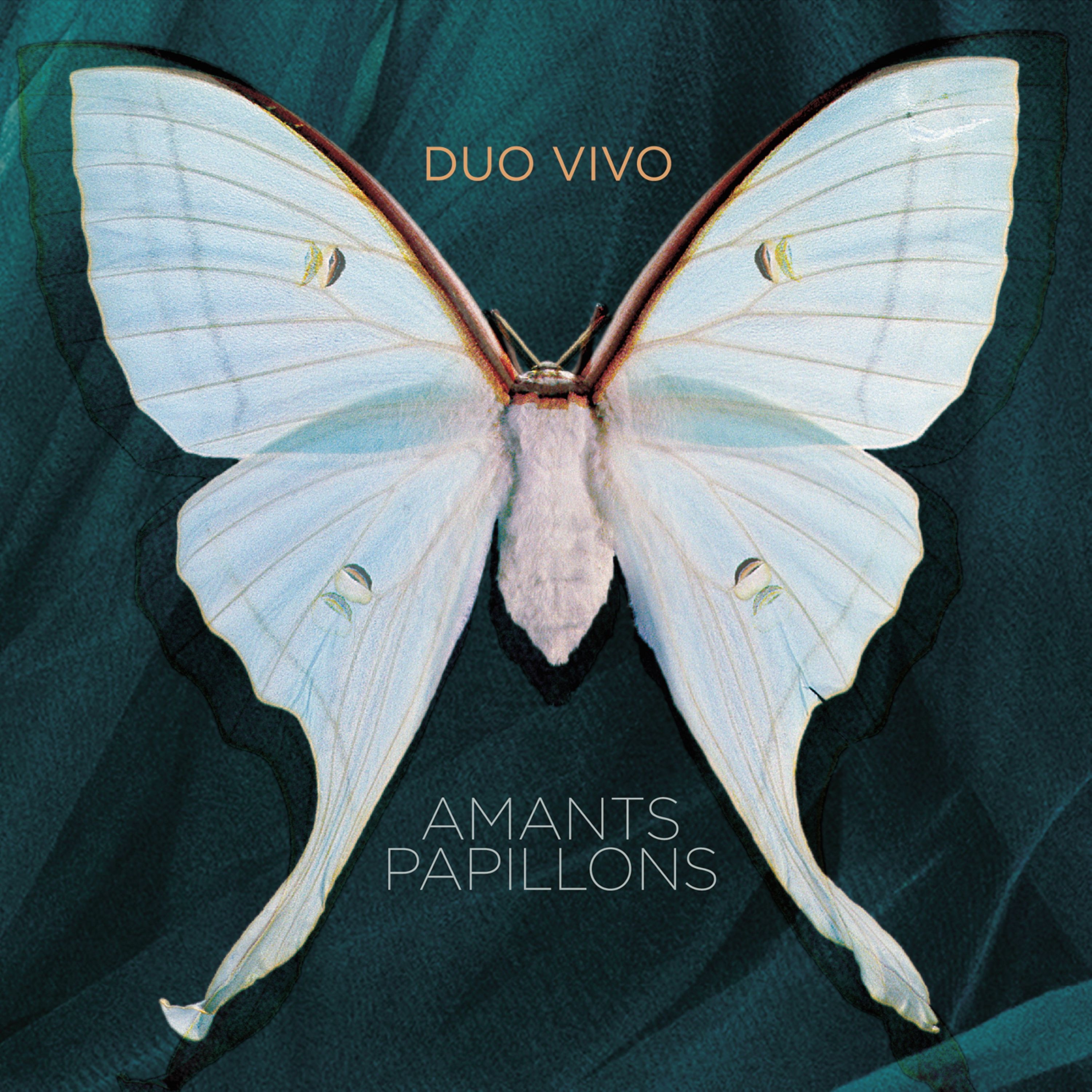 AMANTS PAPILLONS album cover