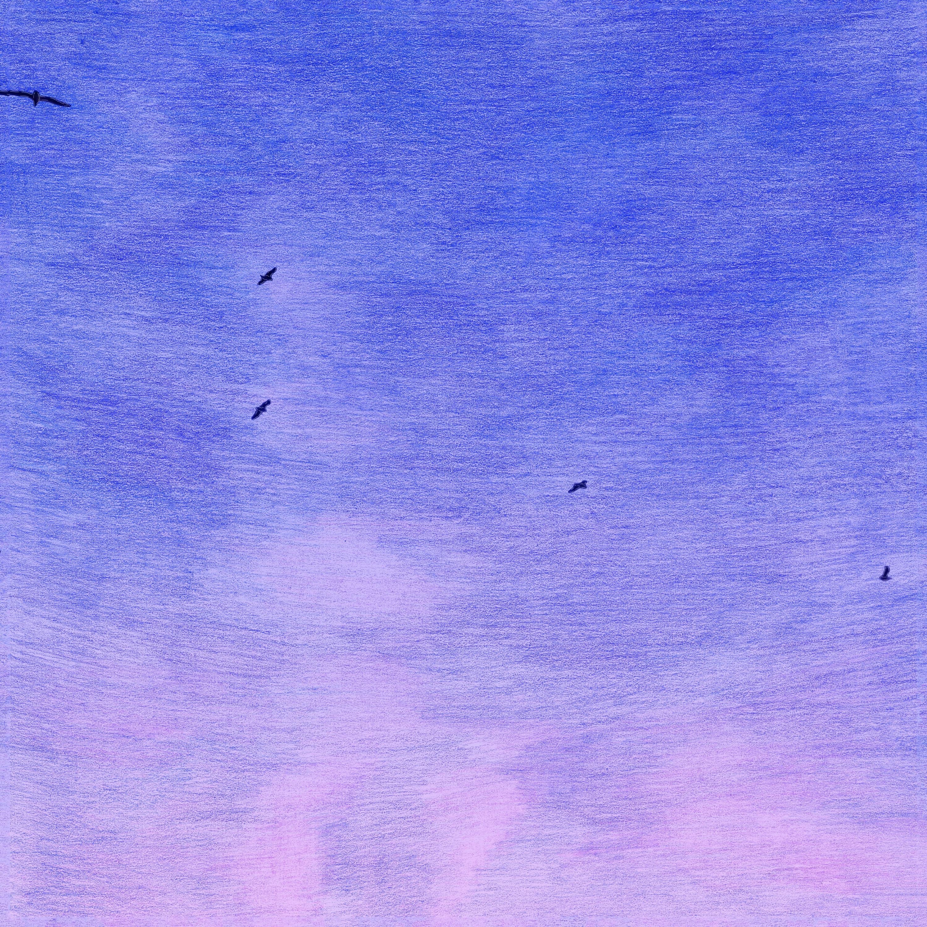 In My Dreams (I'm A Bird And I'm Free) album cover