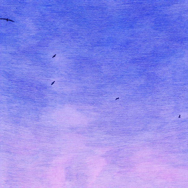 In My Dreams (I'm A Bird And I'm Free) album cover