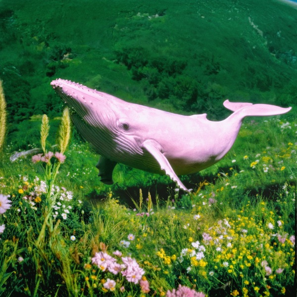 The Shiver - Single album cover