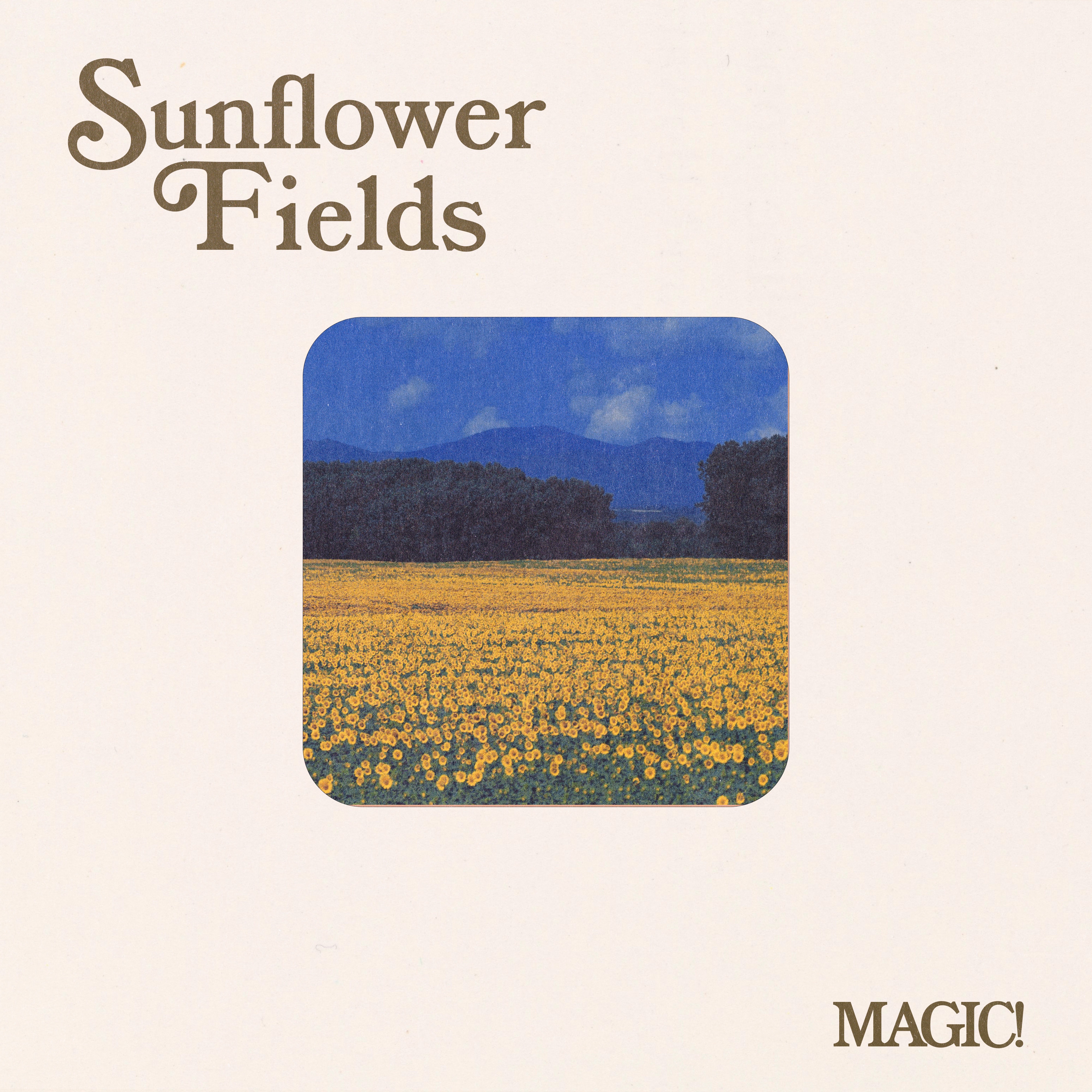 Sunflower Fields - Single album cover