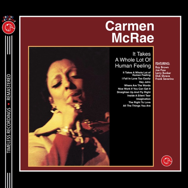 It Takes a Whole Lot of Human Feeling (2024 Remastered Version) album cover