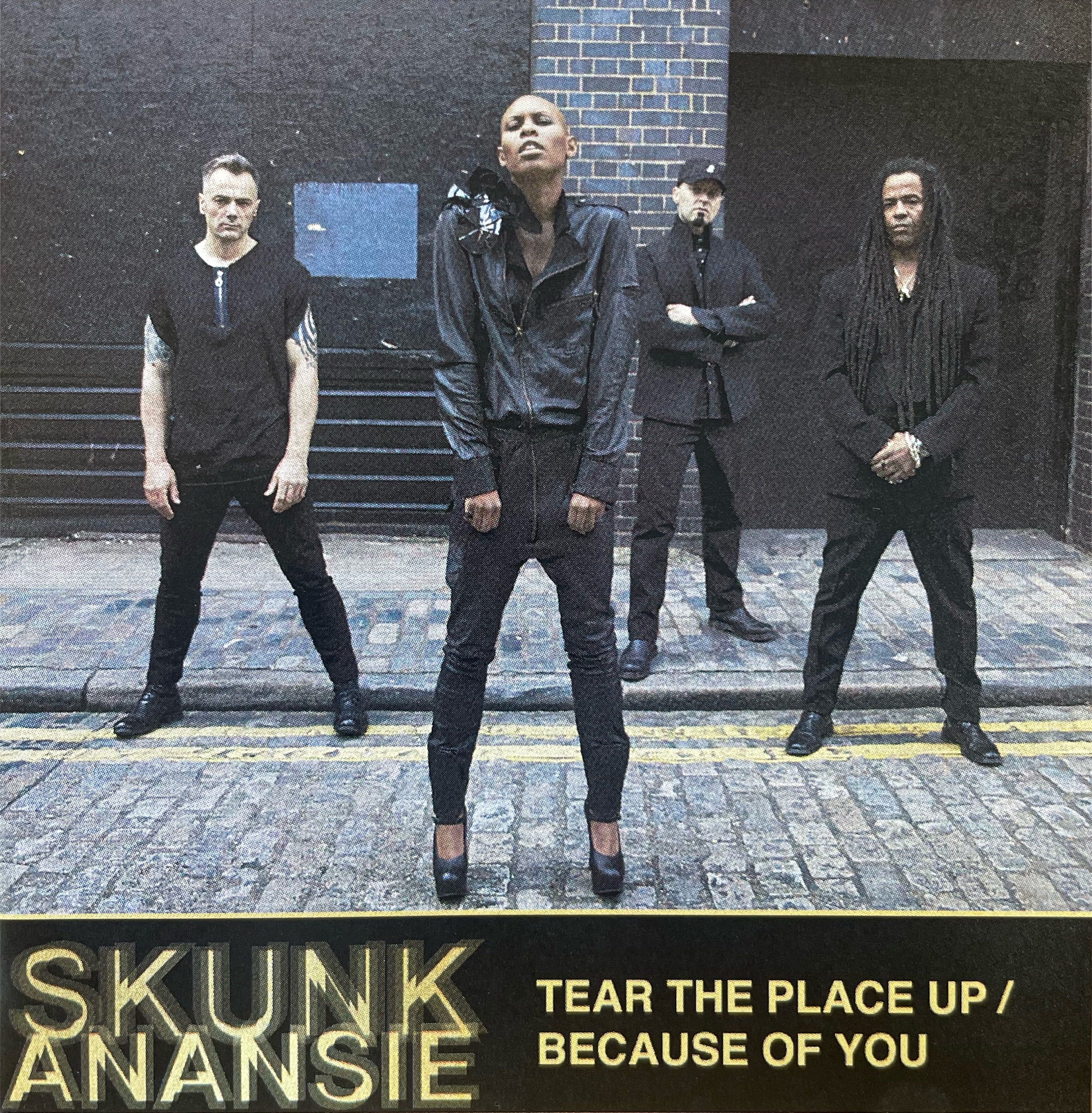 Tear the Place up / Because of You - Single album cover