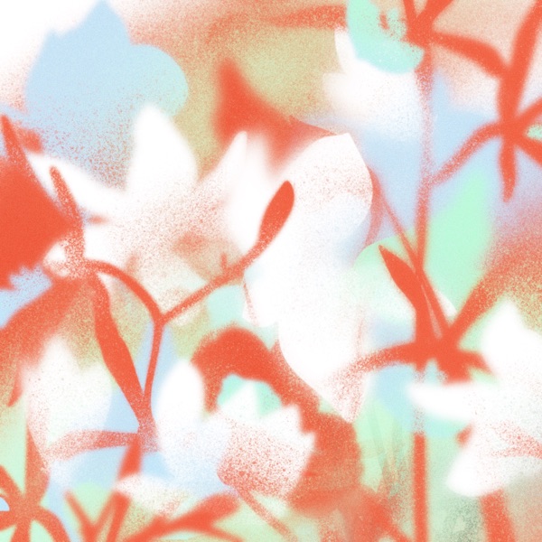 DAY album cover