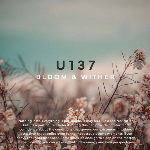 Bloom & Wither - Single album cover