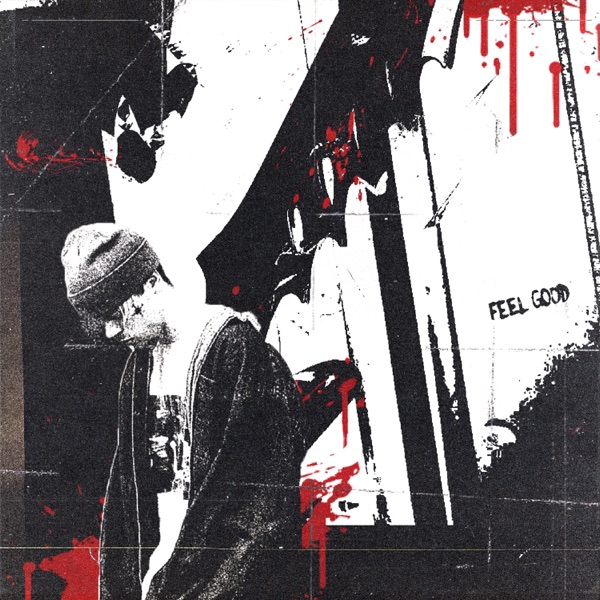 Self Inflicted album cover