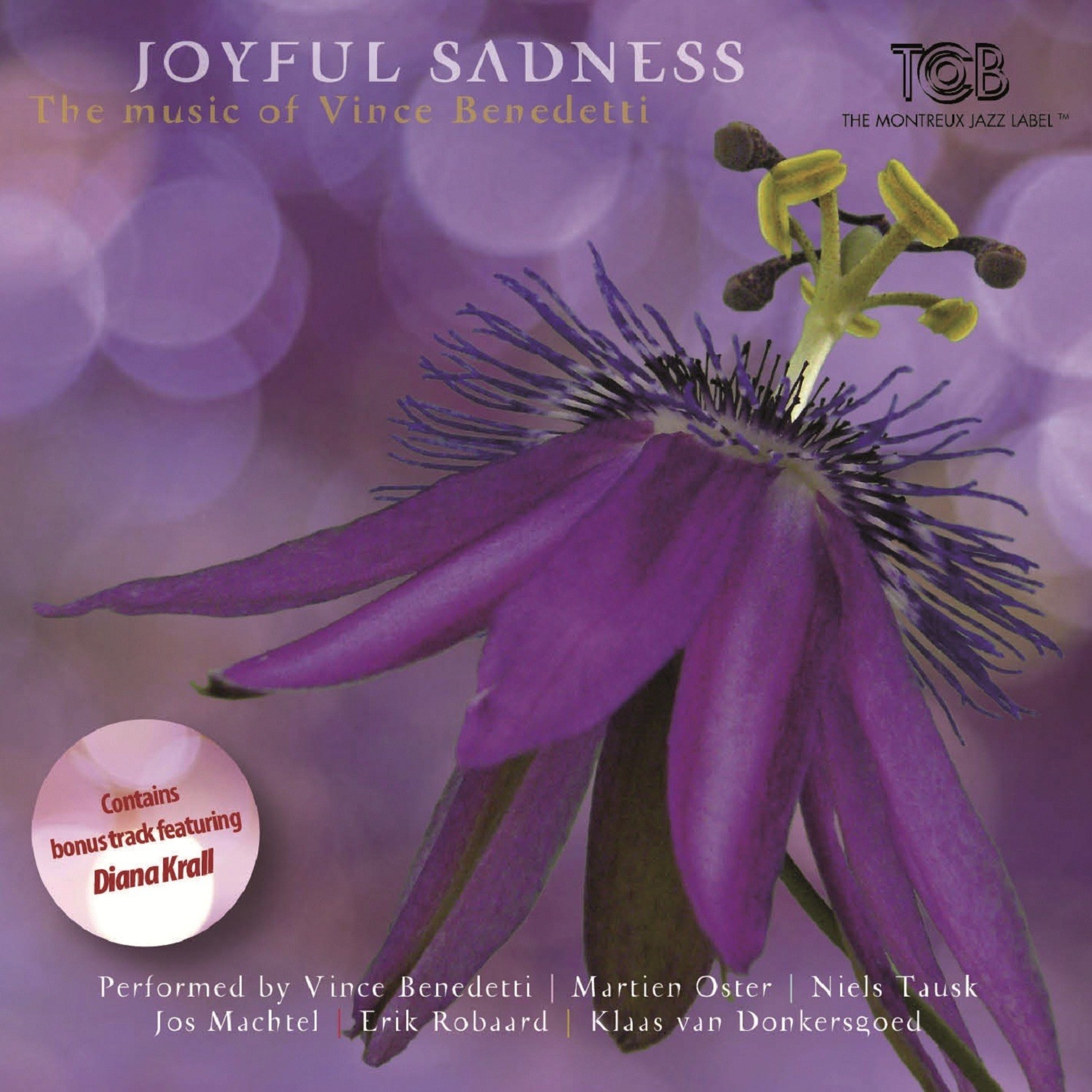 Joyful Sadness (feat. Martien Oster, Diana Krall, Niels Tausk, Jos Machtel, Erik Robaard & Klaas von album cover