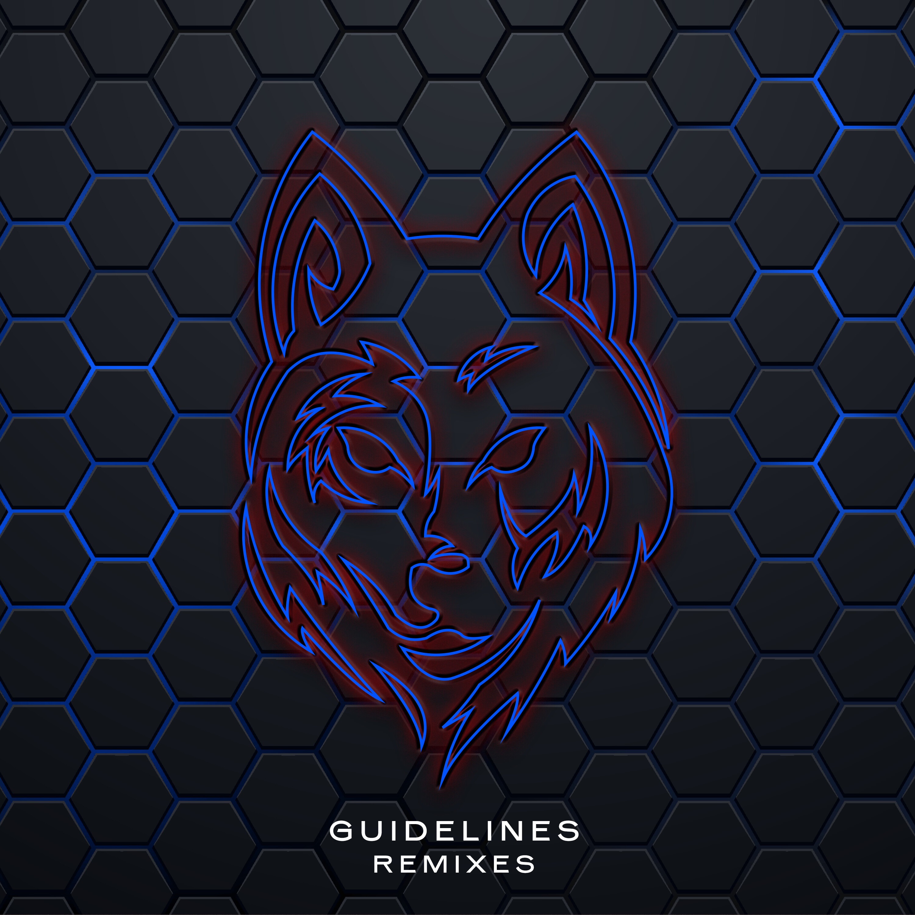 Guidelines (Remixes) - Single album cover