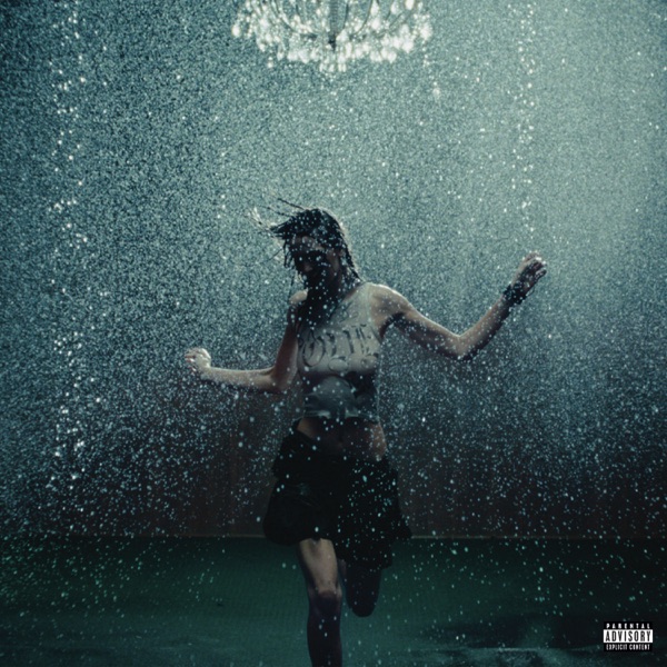 F*CK SWAG - Single album cover