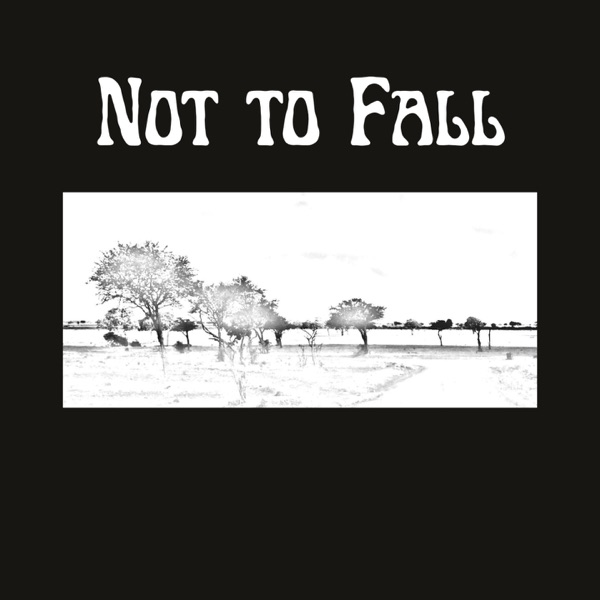 Not to Fall - Single album cover
