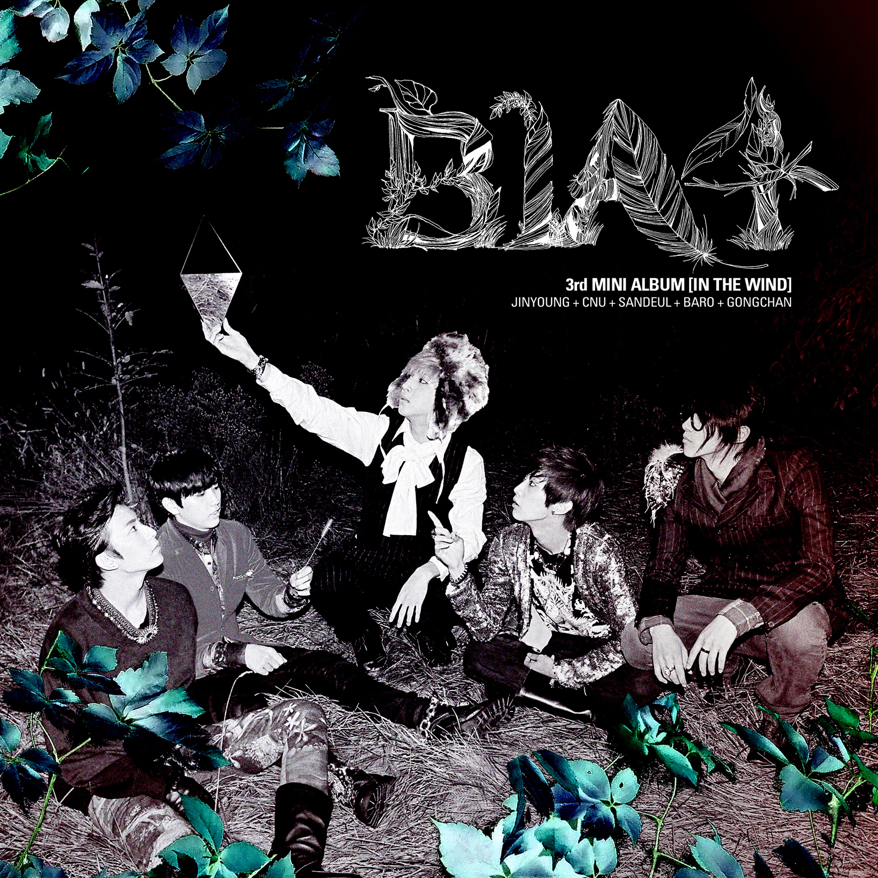 IN THE WIND album cover