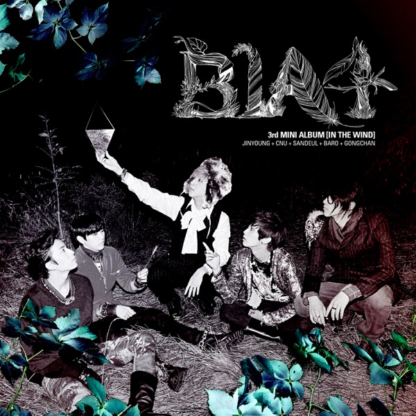 IN THE WIND album cover