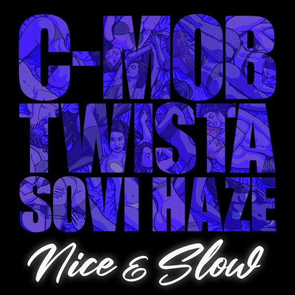 Nice & Slow (feat. Twista & Sovi Haze) - Single album cover