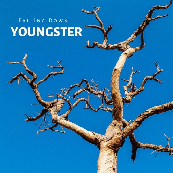 Falling Down (Instrumental) - Single album cover