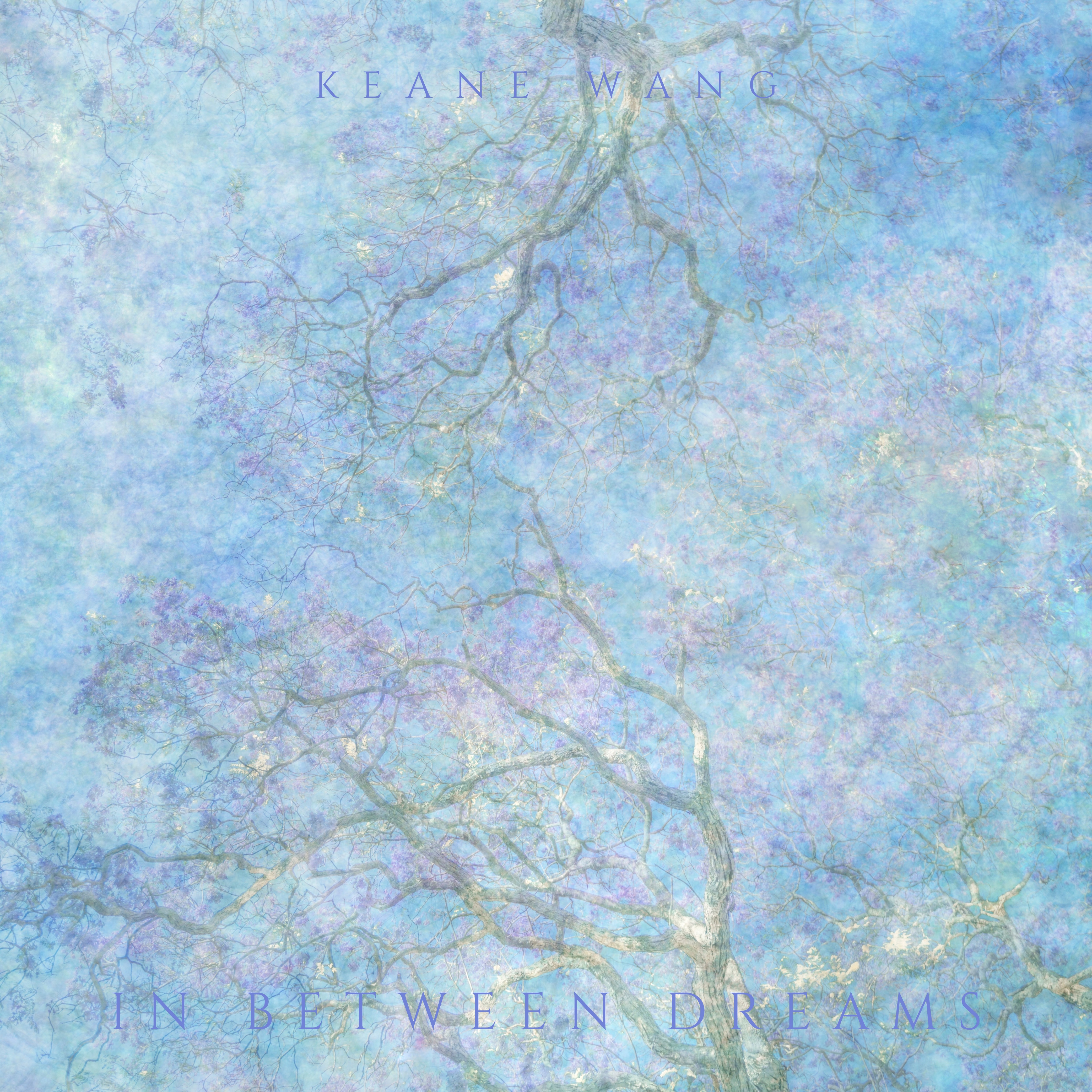 In Between Dreams album cover