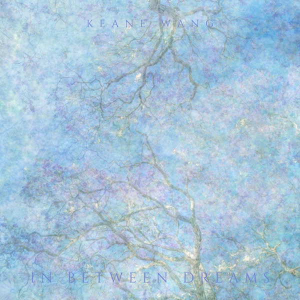 In Between Dreams album cover