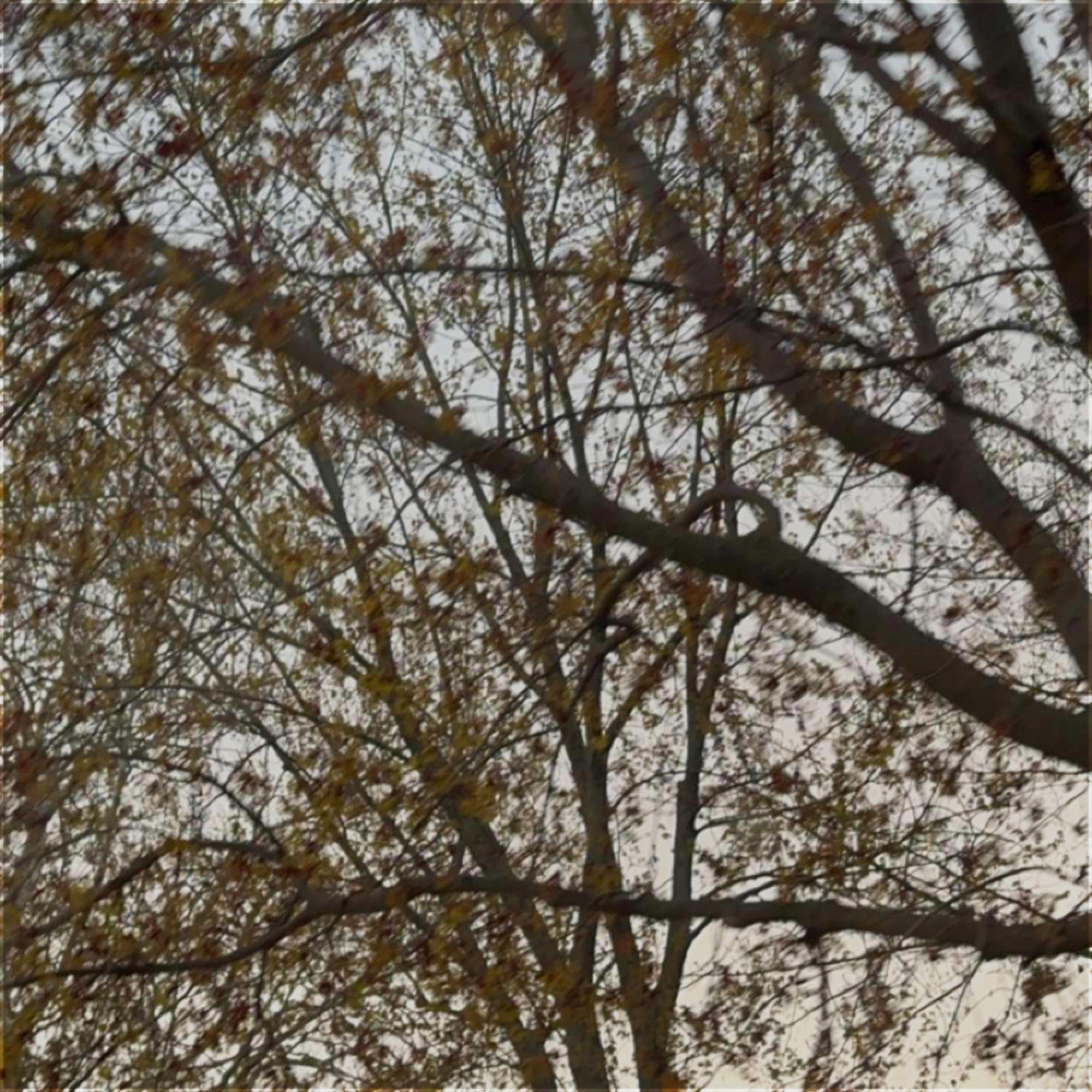 Leave Me Alone - Single album cover
