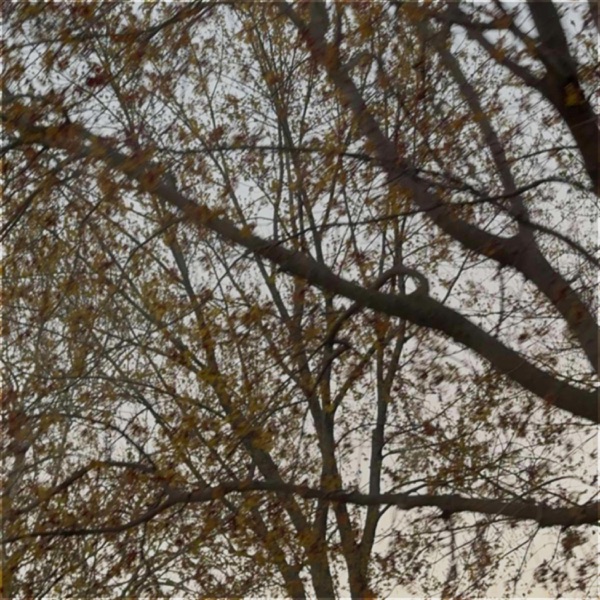 Leave Me Alone - Single album cover