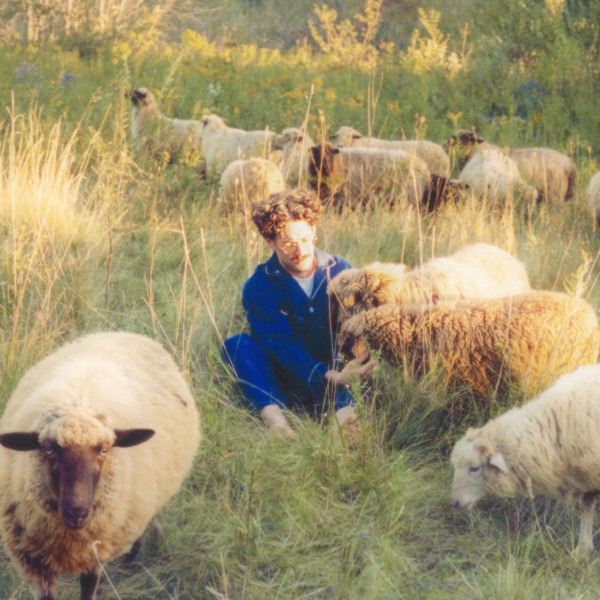 Themes for Dreams album cover