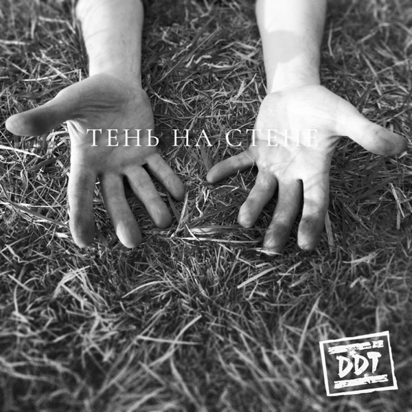 Тень на стене - Single album cover