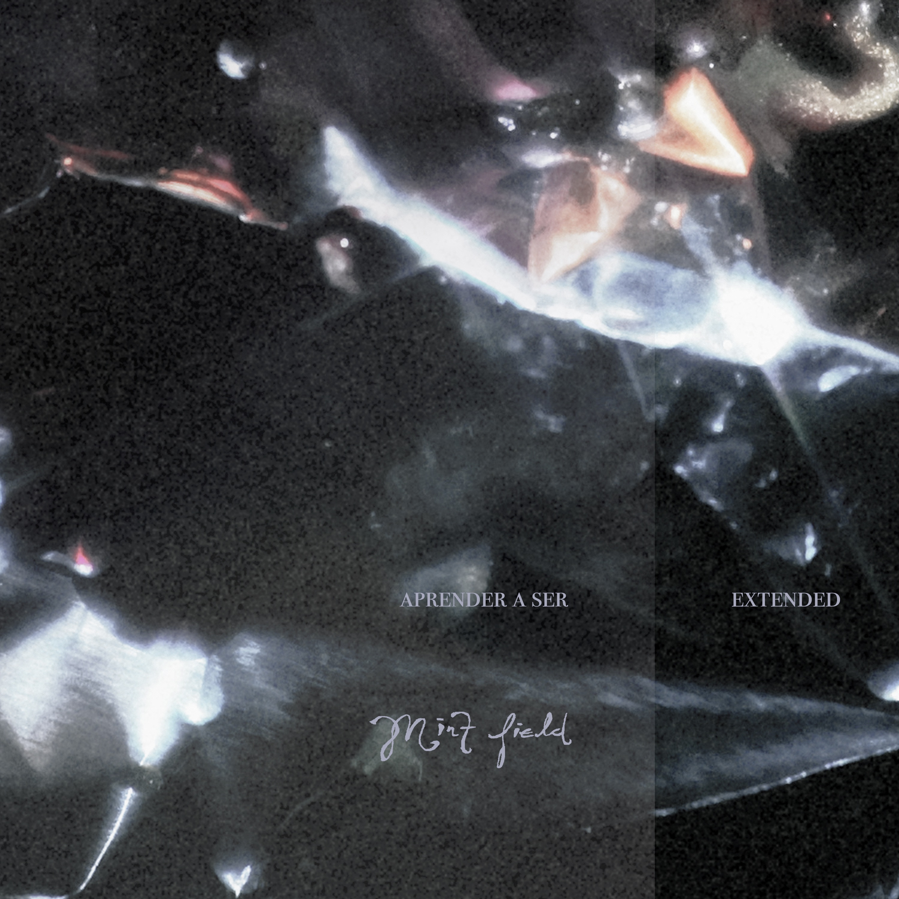 Aprender a Ser: Extended album cover