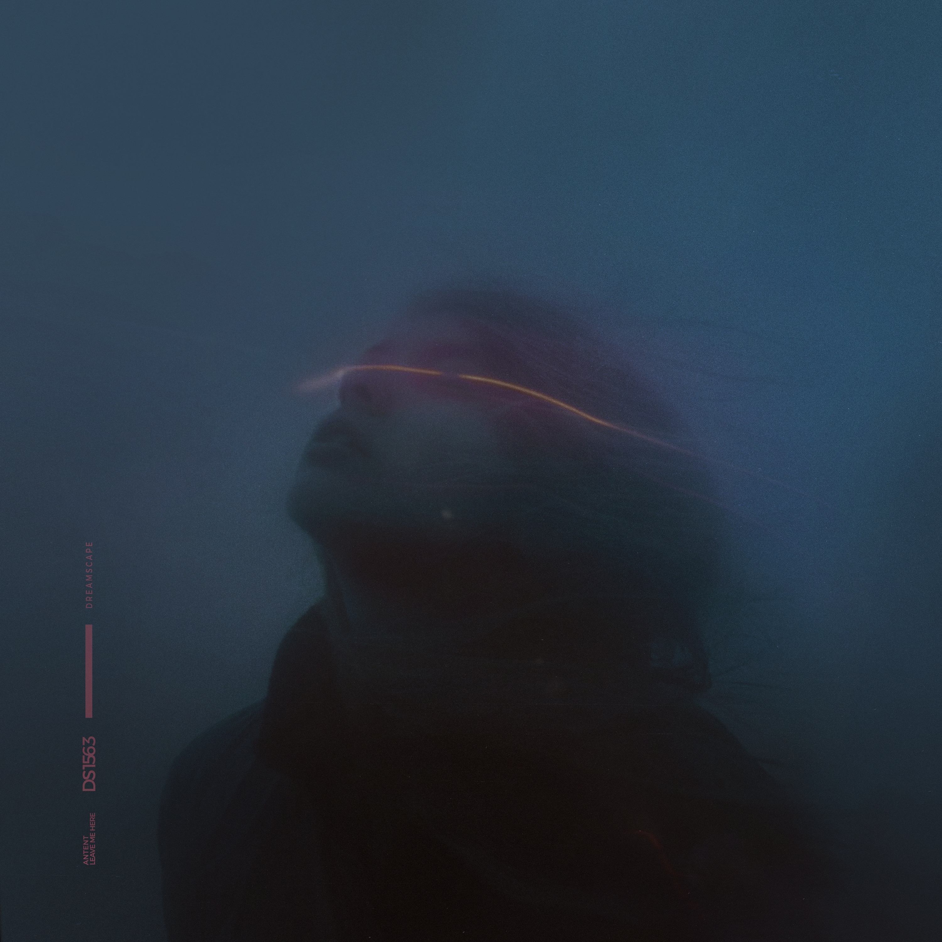 Leave Me Here - Single album cover