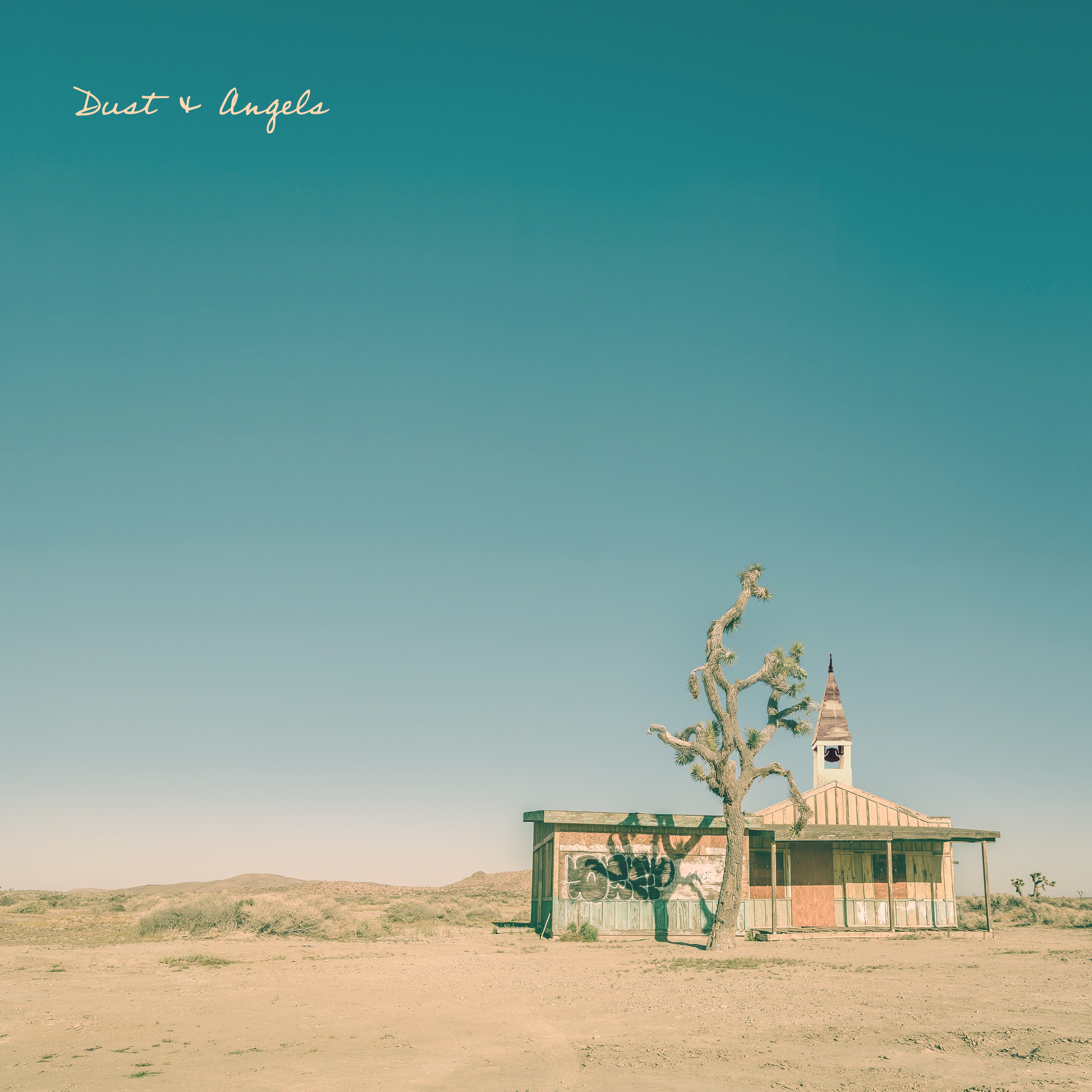 Dust And Angels album cover