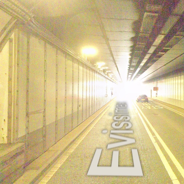 run from me (Evissimax Remix) - Single album cover