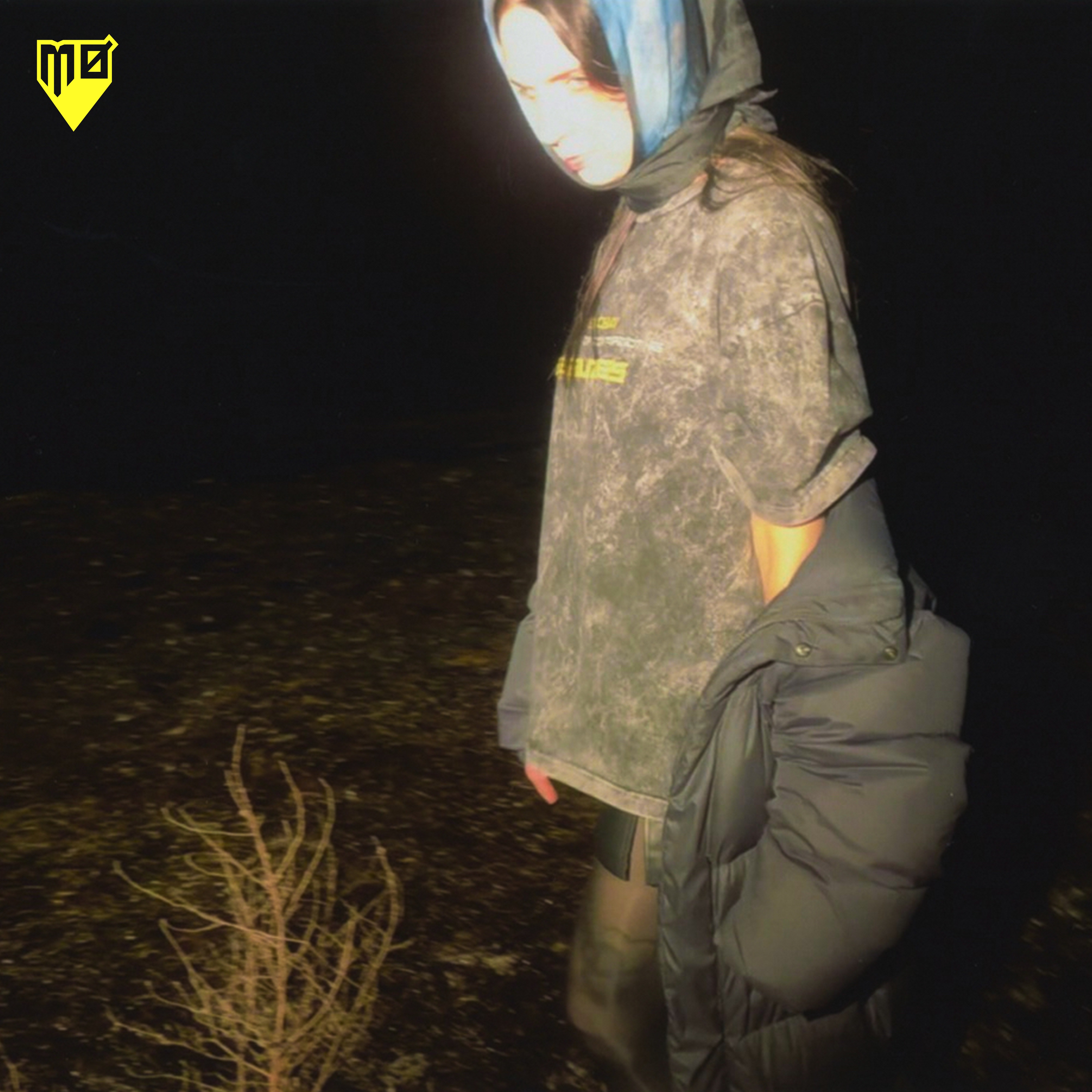 Wake Me Up - Single album cover