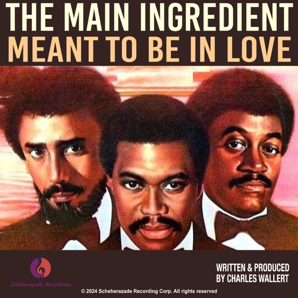 Meant to Be in Love - Single album cover