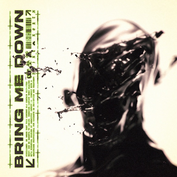 Bring Me Down - Single album cover