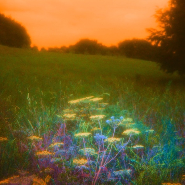 Golden (1-800 GIRLS Remix) - Single album cover