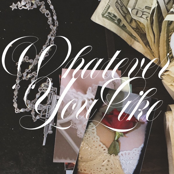 Whatever You Like - Single album cover