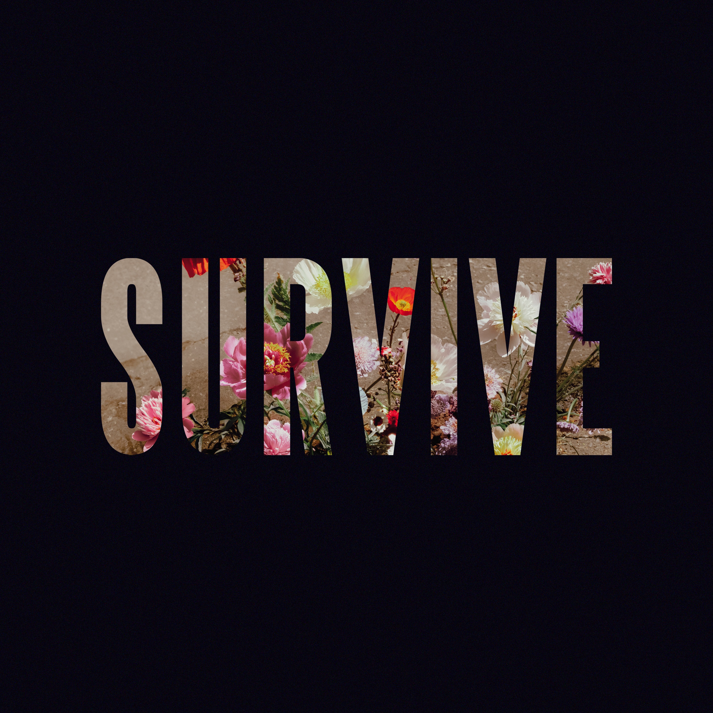 Survive - EP album cover