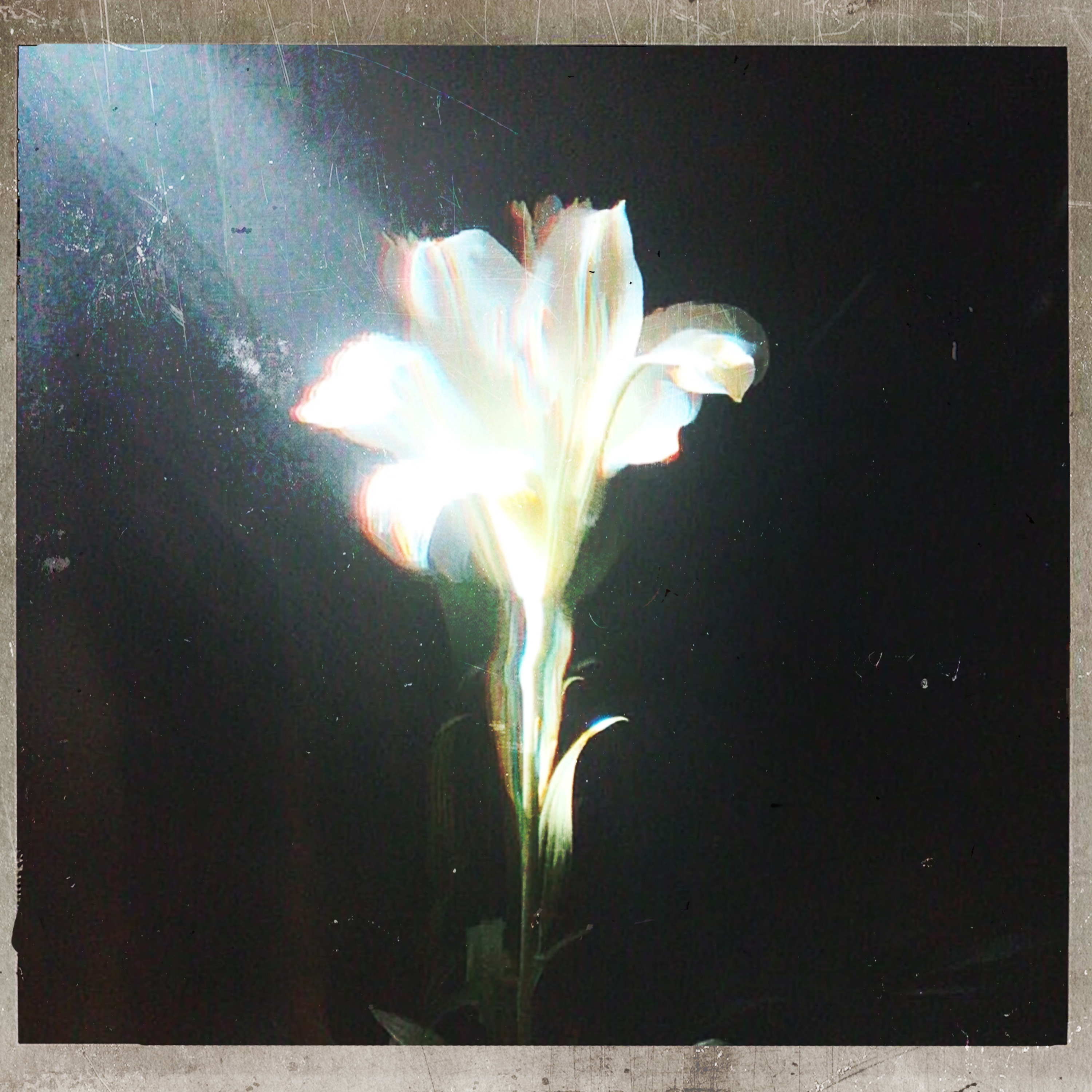 Light That Leads Me - Single album cover