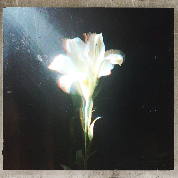 Light That Leads Me - Single album cover