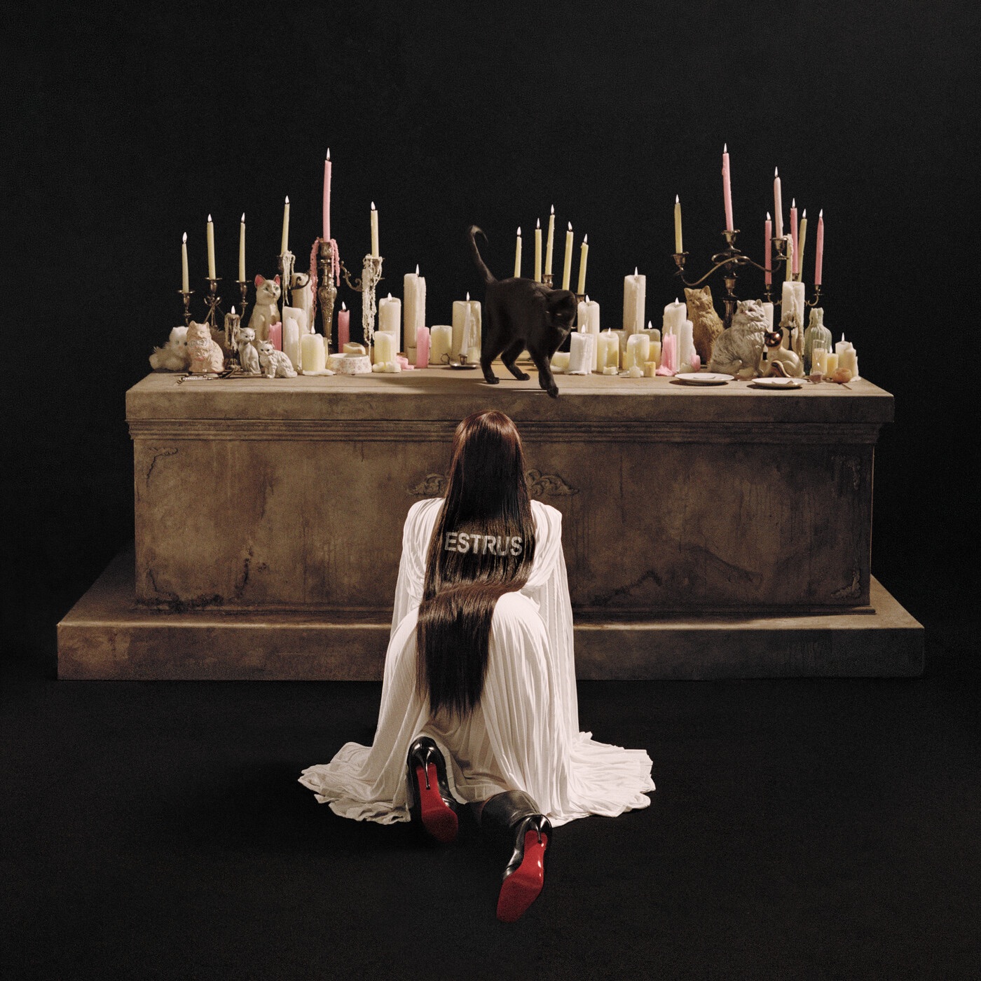 ESTRUS album cover