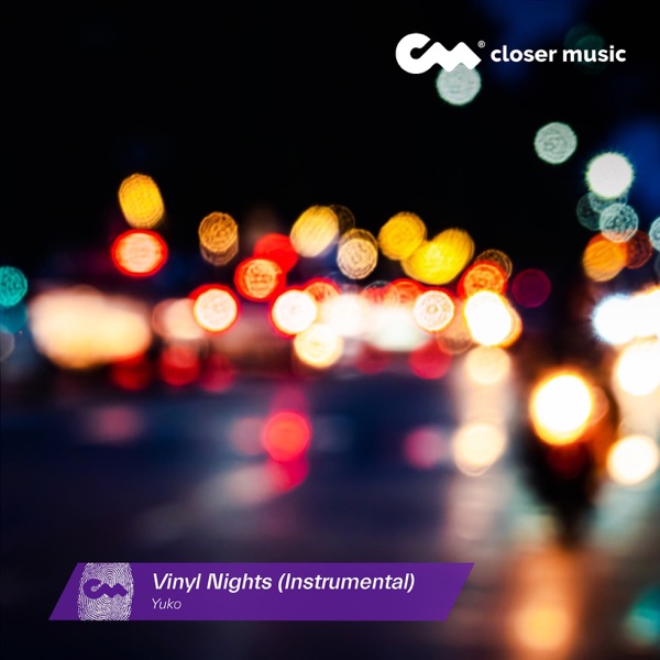 Vinyl Nights (Instrumental) - Single album cover