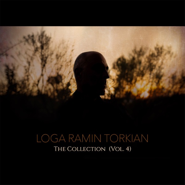 The Collection (Vol. 4) album cover