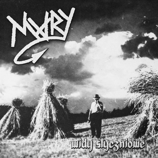 Widy styczniowe album cover
