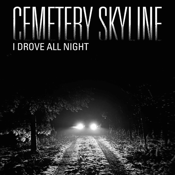 I Drove All Night - Single album cover