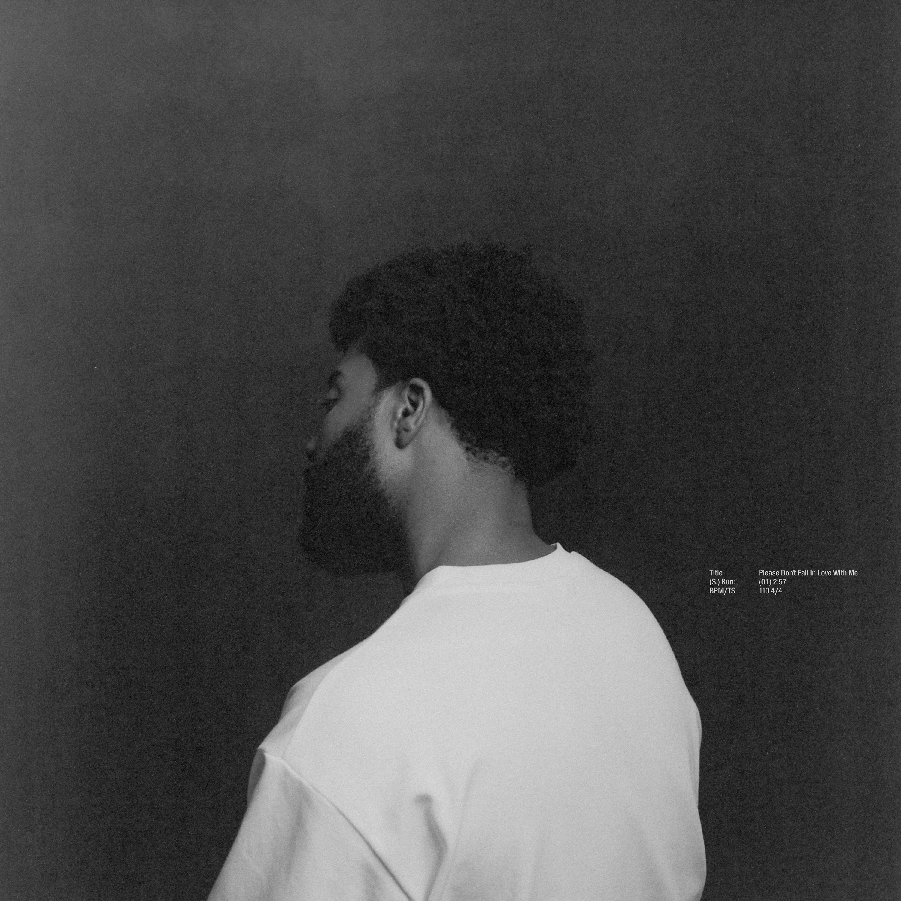 Please Don't Fall In Love With Me - Single album cover