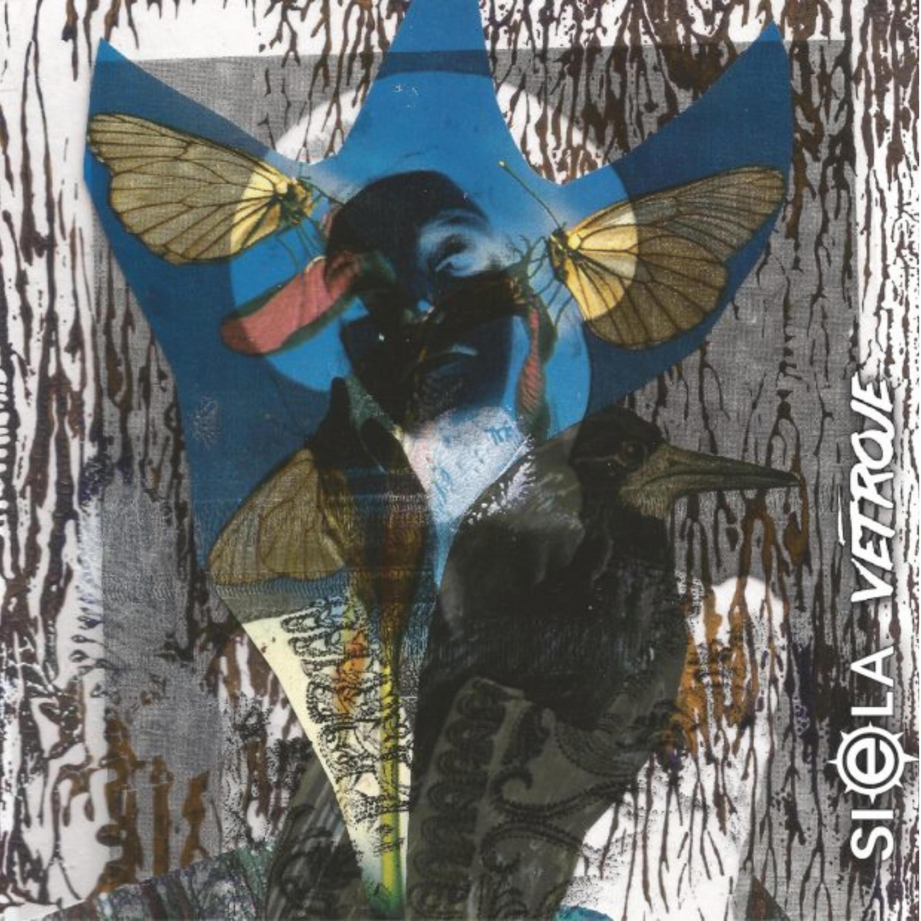 Vėtroje album cover