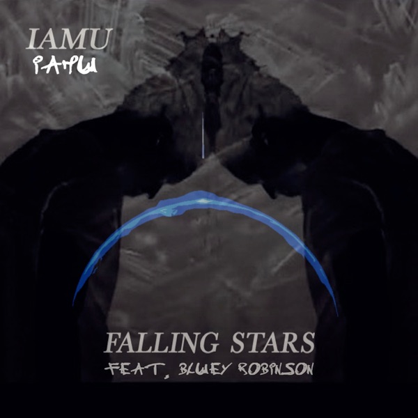 Falling Stars (Foodoo Remix) [Foodoo Remix] [feat. Bluey Robinson] - Single album cover