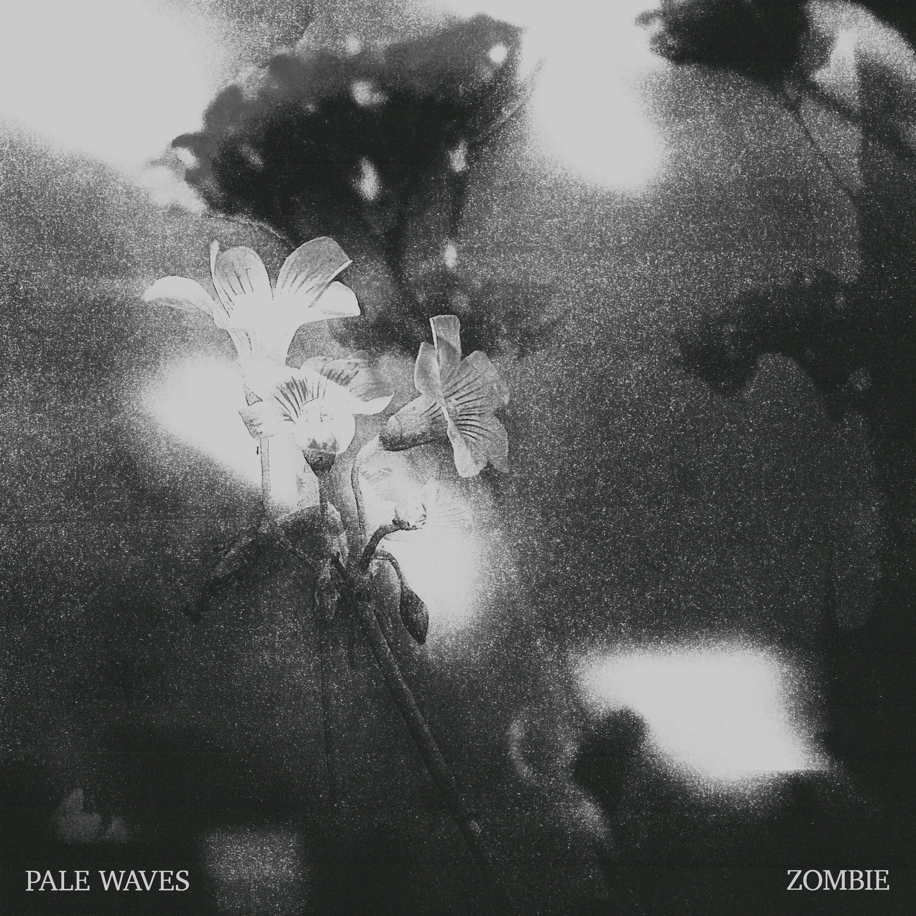 Zombie - Single album cover