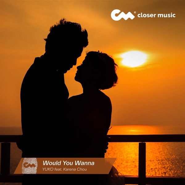 Would You Wanna (Instrumental) - Single album cover
