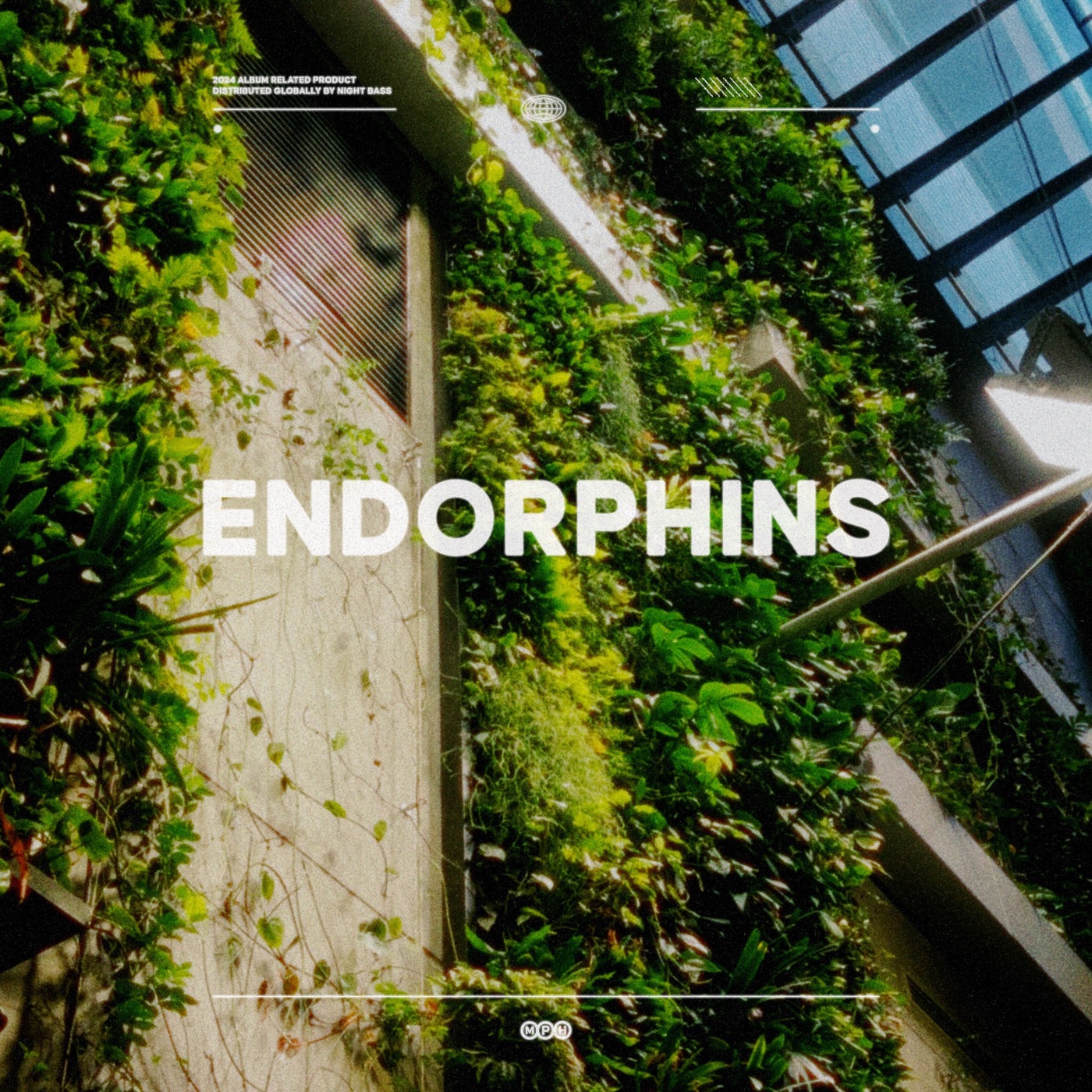 Endorphins - Single album cover