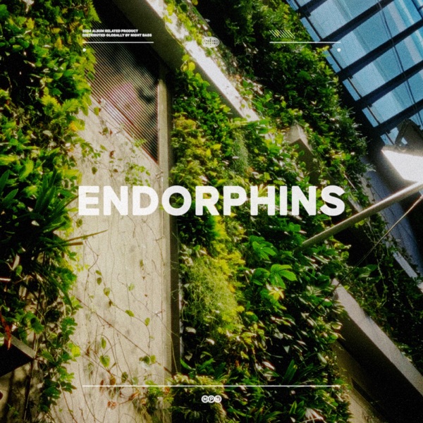 Endorphins - Single album cover