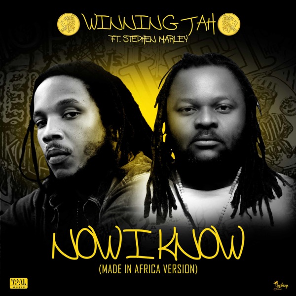 Now I Know (Made in Africa Version) [feat. Stephen Marley] - Single album cover