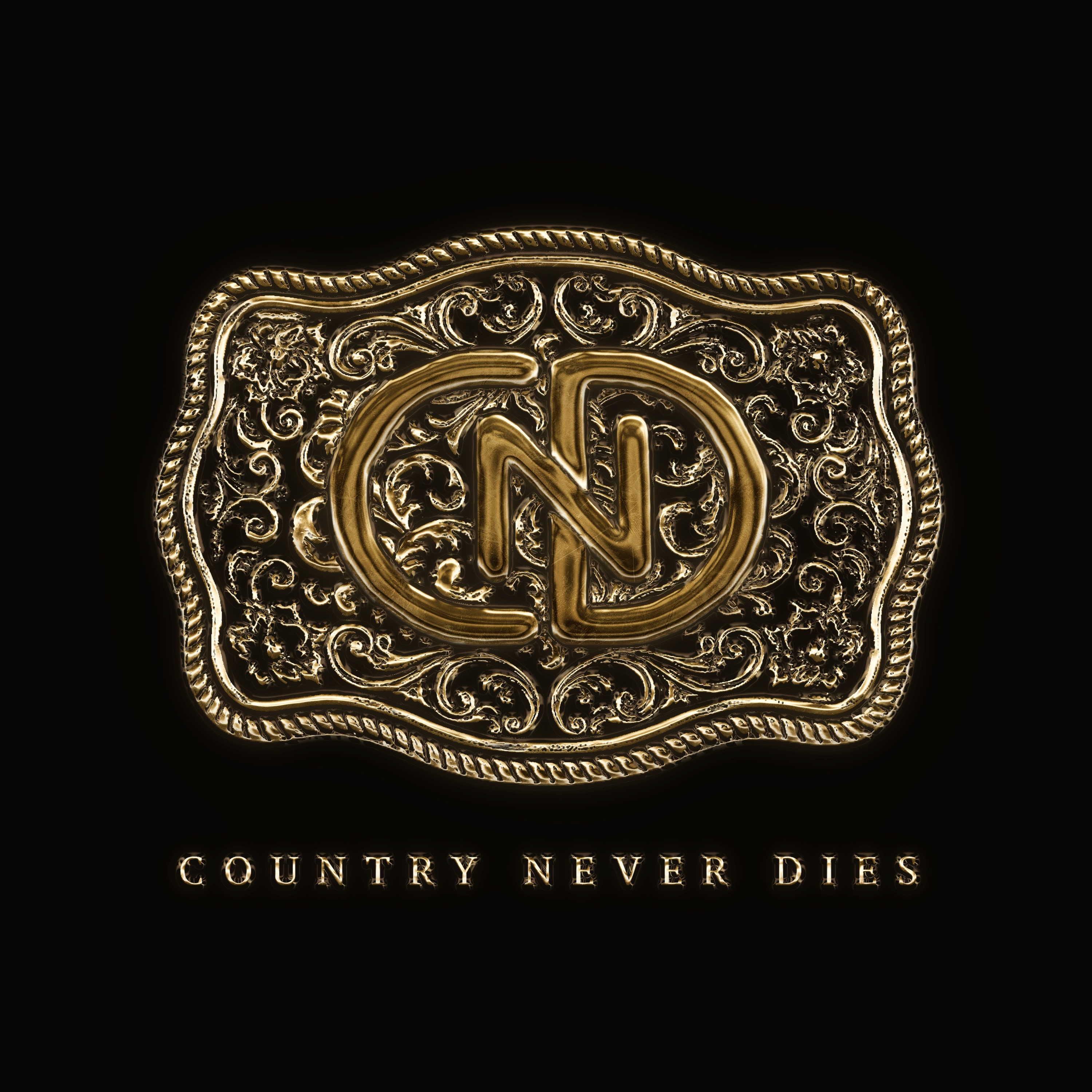 Country Never Dies album cover
